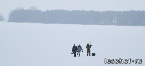 0_95d74_7fba2859_L.jpg