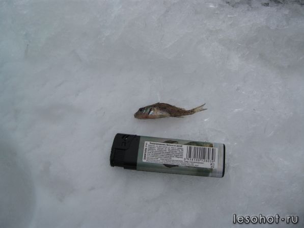 IMG_5370.jpg