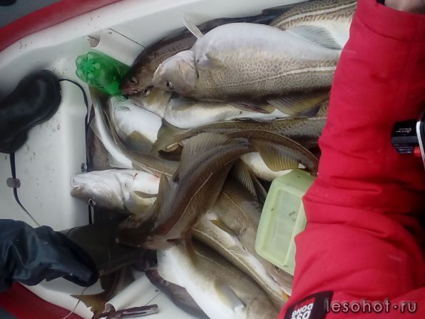 20180428_114116.jpg
