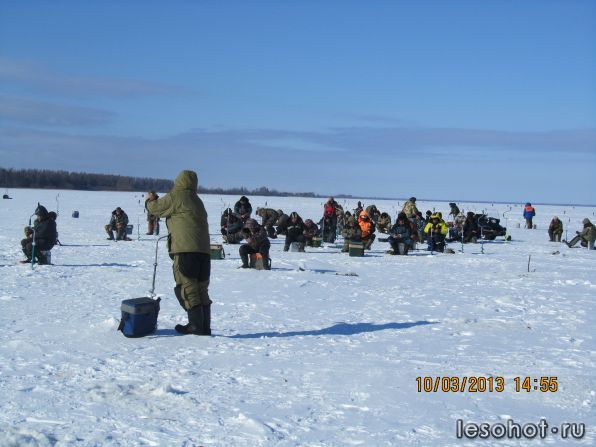 IMG_4072.JPG
