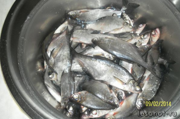 Recoverd_jpg_file(1035).jpg