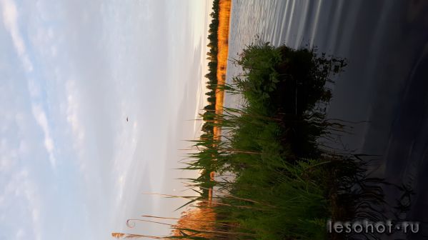 20180527_040843.jpg