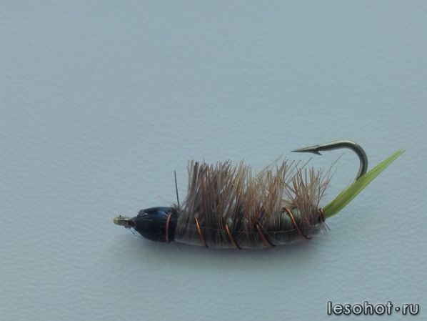 IMG_20200724_101121.jpg