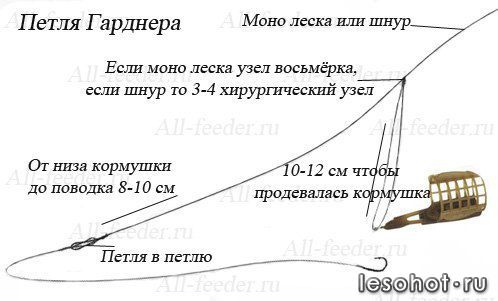 TVzlu04qXhE.jpg