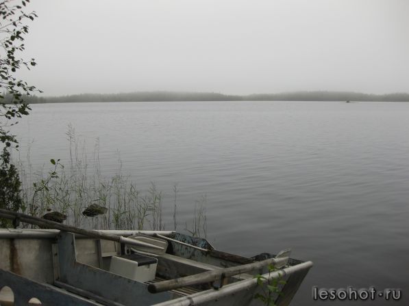 IMG_0015.JPG