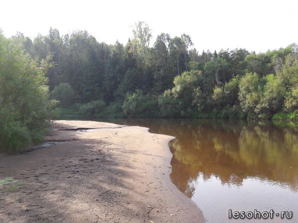 20170823_090442.jpg