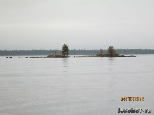 IMG_0133.JPG