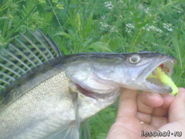 22062011216.jpg