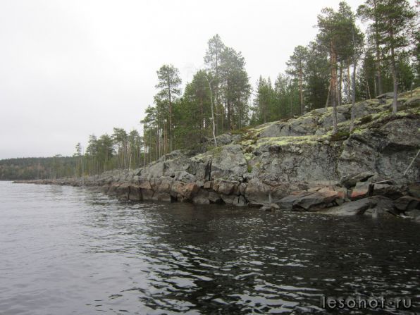 photo_00087.jpg