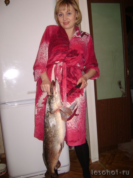 DSC00001.JPG