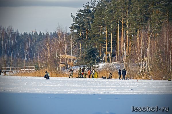 _DSC2971.jpg