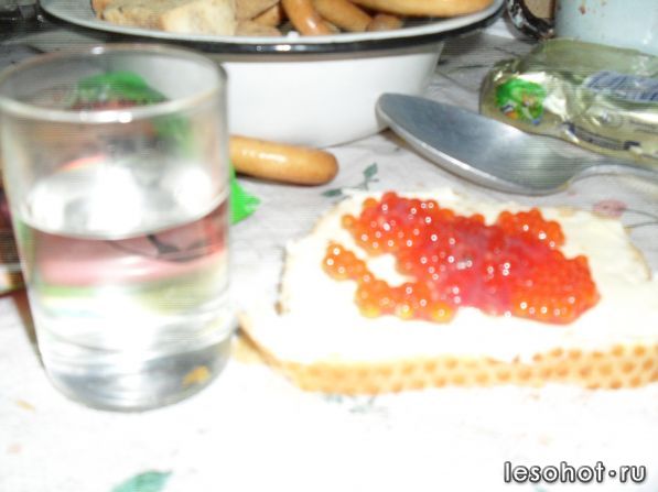SDC10288.JPG
