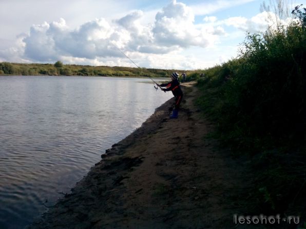 IMG_20140830_173449.jpg
