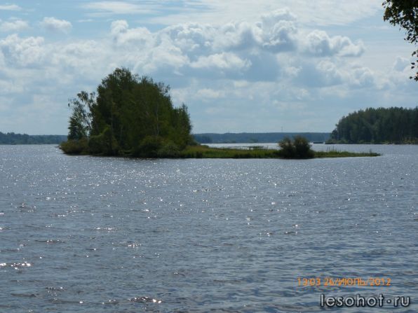 P1000459.JPG
