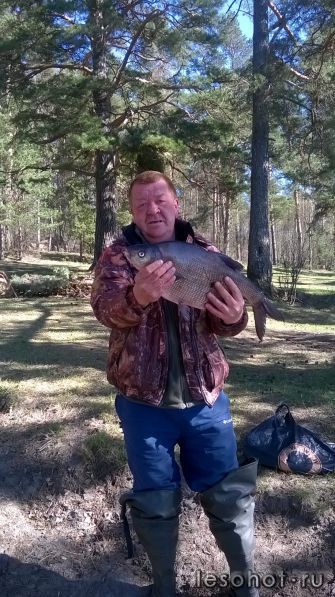 WP_20170507_15_19_06_Pro.jpg
