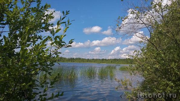 WP_20140730_012.jpg