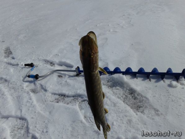 20140406_122656.jpg