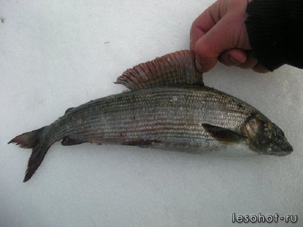photo_00005.jpg