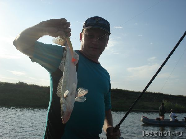 DSC00084.JPG