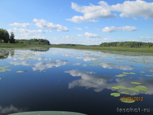 IMG_0046.JPG