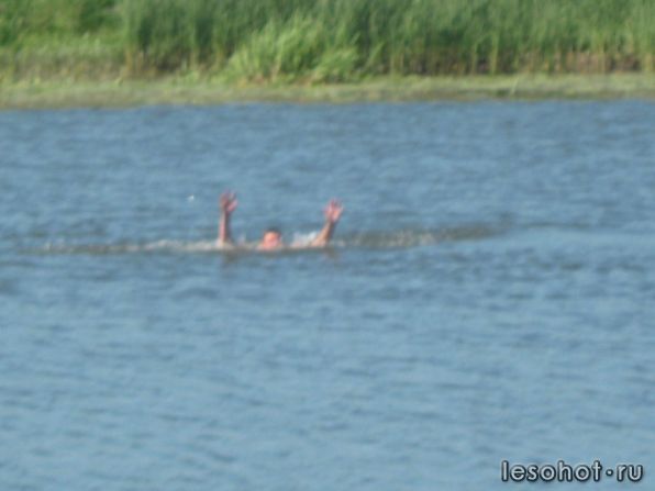IMG_2830.JPG