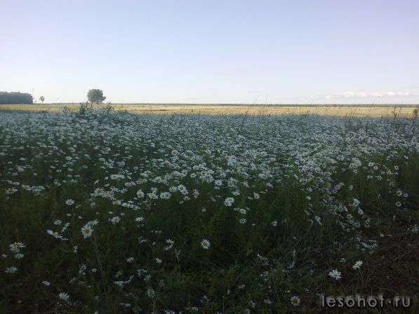 30062012182.jpg