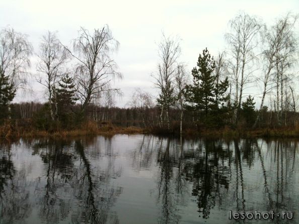 IMG_0669.jpg