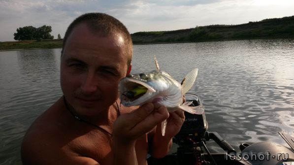 20140824_174559.jpg
