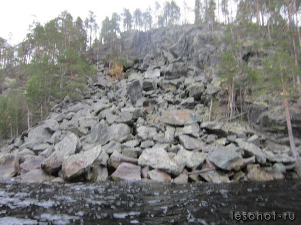 photo_00078.jpg