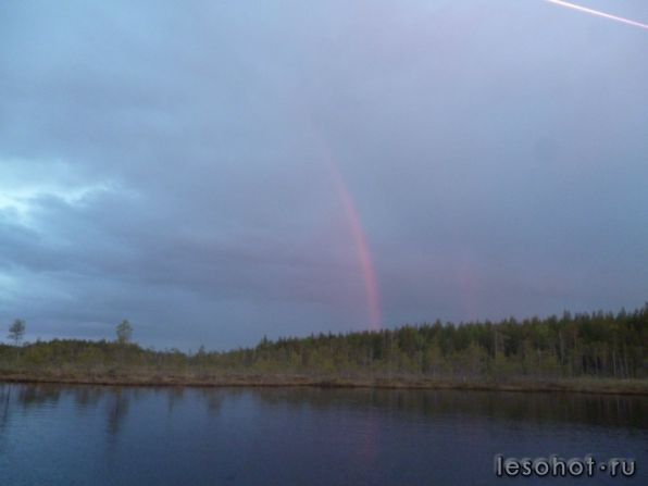 photo_00040.jpg