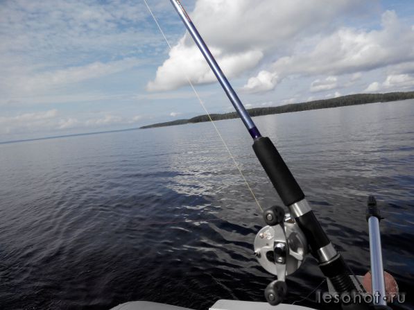2014813122801.jpg