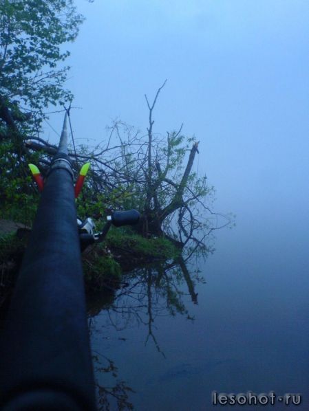 image006.jpg