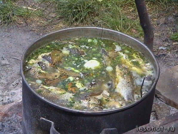 IMG_20160526_195833_37.jpg
