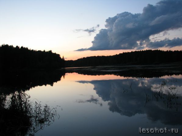 IMG_2722.jpg