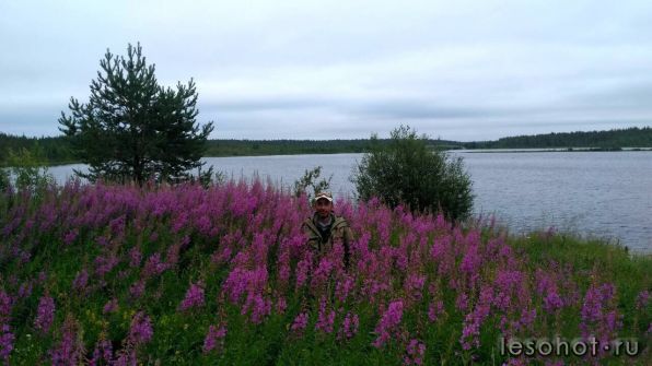 photo_00378.jpg