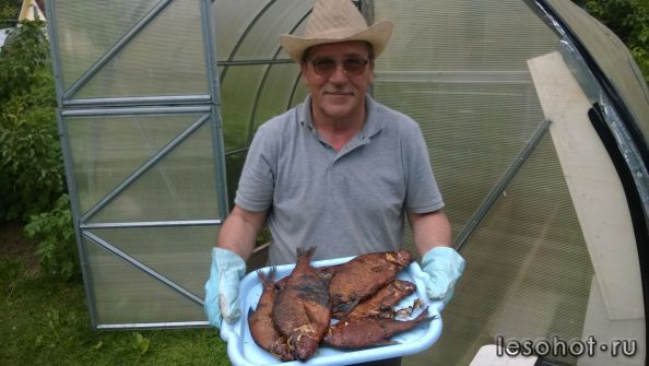 WP_20150620_007.jpg