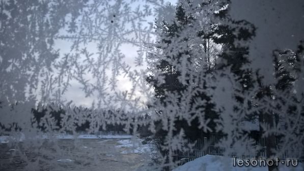 WP_20170103_15_24_36_Pro.jpg
