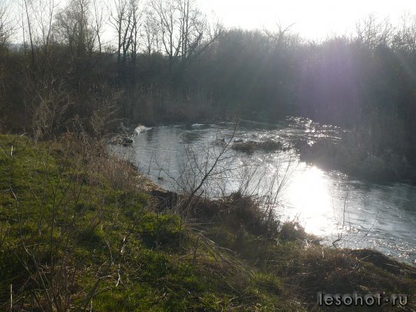 P1020865.JPG