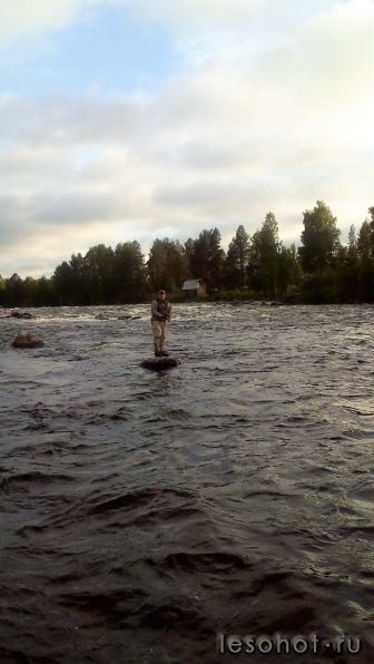 photo_00137.jpg