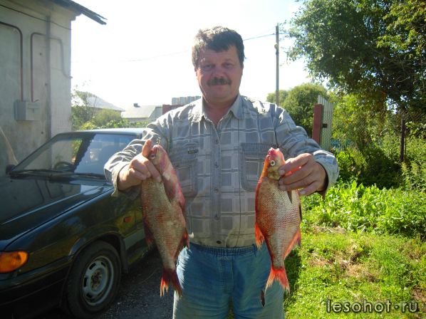 DSCN1018.JPG