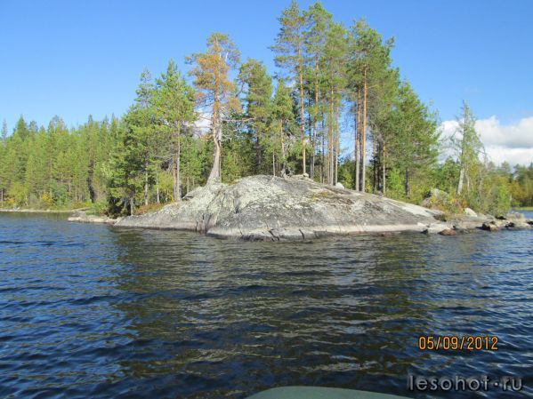 IMG_0082.JPG