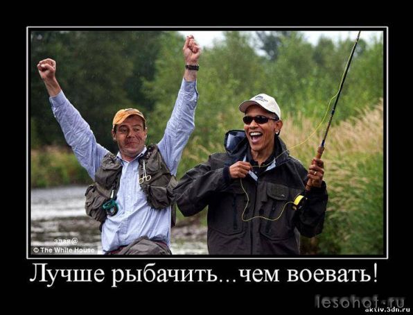 99782527.jpeg
