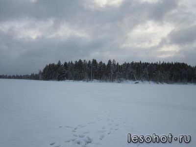 IMG_0836.JPG