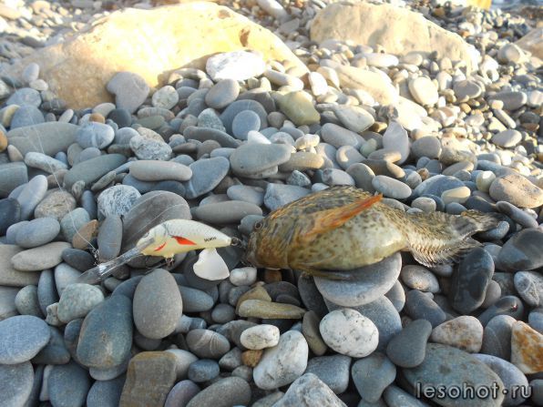 DSCN1857.JPG
