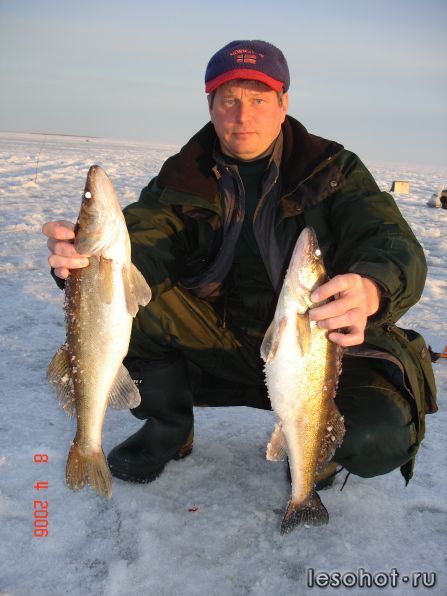  2006