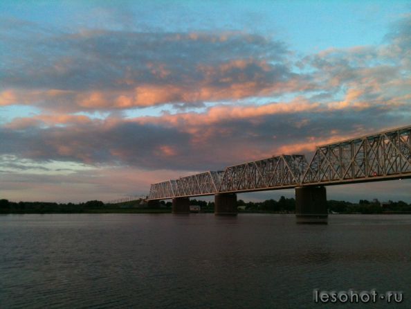 IMG_1253.jpg