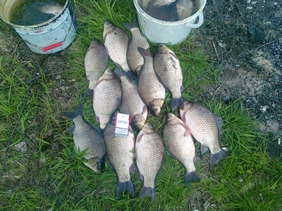 ������� ��������