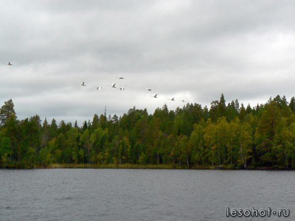 1-105.jpg