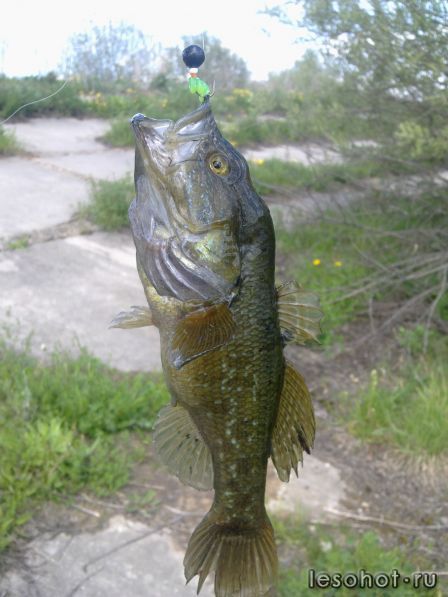21052011097.jpg