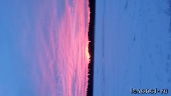 20150308_065511.jpg